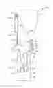 Fig. 01 - Knee Orthosis Device and Associated Methods