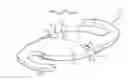 Fig. 01 - Intraocular lens