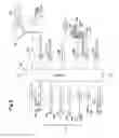 Fig. 09 - Vehicle security locking system having a driving function locking device