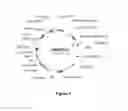 Fig. 02 - METHOD FOR PLANT IMPROVEMENT