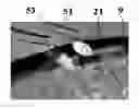 Fig. 01 - Method for testing the resistance of a tyre to pressure loss