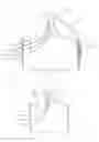 Fig. 02 - ANIMAL SHELTER STRUCTURE