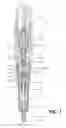Fig. 02 - Injector Orifice Plate Filter