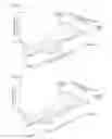 Fig. 08 - Vehicle rear spoiler device