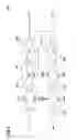 Fig. 09 - Electronic transmission element