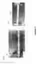 Fig. 06 - Waveguide coupler