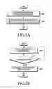 Fig. 05 - Coordinate measuring apparatus for measuring input position of a touch and a coordinate indicating apparatus and method thereof