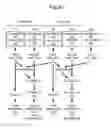 Fig. 22 - Video data transmitter apparatus and video data receiver apparatus for transmission system using multi-value amplitude modulation
