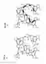 Fig. 05 - Method and apparatus for attack resistant mesh networks