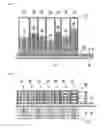 Fig. 02 - Apparatus and method for dispensing vehicle balancing weights