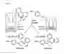 Fig. 06 - Methods for the preparation of reaction vessels