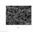 Fig. 02 - MICRO-, SUBMICRO- AND NANO-STRUCTURES CONTAINING AMARANTH PROTEIN