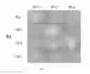Fig. 08 - Coated articles and methods