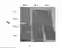 Fig. 09 - Coated articles and methods