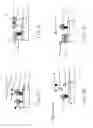 Fig. 09 - Method of selecting analyte to samples using a lateral flow device