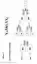 Fig. 06 - Methods and compositions for generating bioactive assemblies of increased complexity and uses