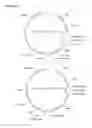Fig. 72 - Methods and compositions for improving sugar transport, mixed sugar fermentation, and production of biofuels