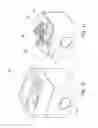 Fig. 07 - Mechanism for generating an orbital motion or a rotation motion by inversing a drive direction of a drive unit