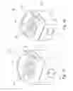 Fig. 10 - Mechanism for generating an orbital motion or a rotation motion by inversing a drive direction of a drive unit
