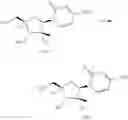 Fig. 586 - Substituted nucleosides, nucleotides and analogs thereof