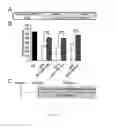 Fig. 02 - Methods for treating Alzheimer's disease by administering certain synthetic compounds