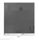 Fig. 06 - Chitin nanowhisker composites and methods