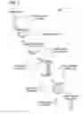 Fig. 02 - SYSTEMS AND METHODS FOR MANAGING PERSONAL RECORDS ASSOCIATED WITH PAYMENT TRANSACTIONS