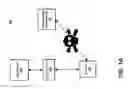 Fig. 02 - Deauthenticating and disassociating unauthorized access points with spoofed management frames