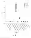 Fig. 24 - METHODS AND SYSTEMS FOR REDUCING SPREAD OF MICROBES