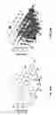 Fig. 40 - METHODS AND SYSTEMS FOR REDUCING SPREAD OF MICROBES