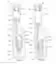 Fig. 06 - Engine Combustion System