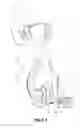 Fig. 07 - Mask assembly with converging neck side walls