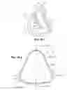 Fig. 43 - Mask assembly with converging neck side walls