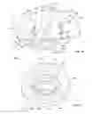 Fig. 25 - Attachment mechanism for a container