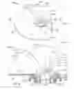 Fig. 35 - Attachment mechanism for a container