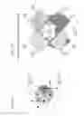 Fig. 09 - Fluorescence detection device