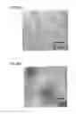 Fig. 09 - II-III-N semiconductor nanoparticles and method of making same