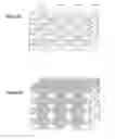 Fig. 09 - Vertical gate NAND memory devices