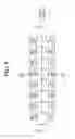 Fig. 06 - Semiconductor device and method of fabricating the same