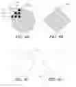 Fig. 05 - Hybrid precision tracking