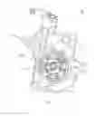 Fig. 01 - Vacuum pump of vehicle preventing lubricant from reintroducing for reducing operation noise