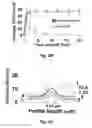 Fig. 09 - DEVICES AND METHODS FOR DETERMINING SENSITIVITY TO RADIATION