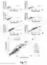 Fig. 16 - DEVICES AND METHODS FOR DETERMINING SENSITIVITY TO RADIATION