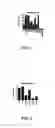 Fig. 02 - Phenotype profile of human retinal progenitor cells