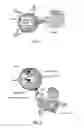 Fig. 02 - METHODS FOR ENGINEERING ALLOGENEIC AND HIGHLY ACTIVE T CELL FOR IMMUNOTHERAPY