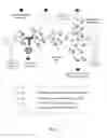 Fig. 06 - METHODS FOR ENGINEERING ALLOGENEIC AND HIGHLY ACTIVE T CELL FOR IMMUNOTHERAPY