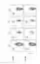 Fig. 09 - METHODS FOR ENGINEERING ALLOGENEIC AND HIGHLY ACTIVE T CELL FOR IMMUNOTHERAPY