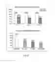 Fig. 07 - BACTERIAL MEDIATED THF ALPHA GENE SILENCING