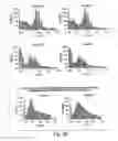 Fig. 09 - BACTERIAL MEDIATED THF ALPHA GENE SILENCING