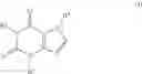 Fig. 08 - Pharmaceutical formulations of xanthine or xanthine derivatives, and their use